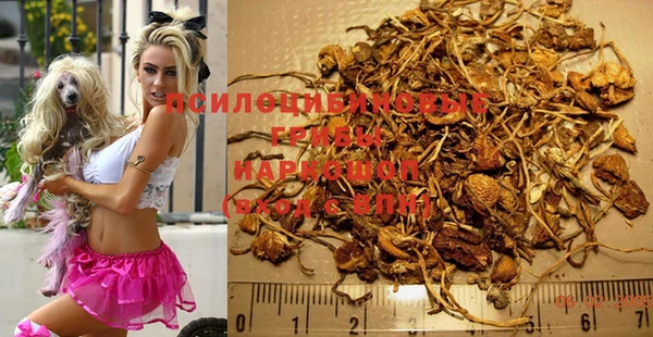 каннабис Алексеевка