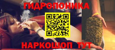 стафф Рузаевка