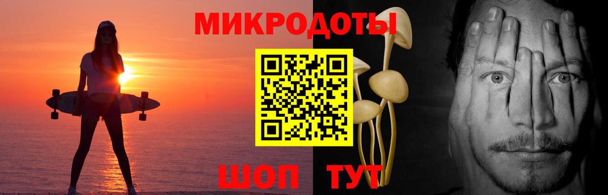 Галлюциногенные грибы Psilocybine cubensis Чебаркуль